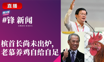 #锋新闻 13.07.2023：槟首长尚未出炉，老慕养鸡自给自足