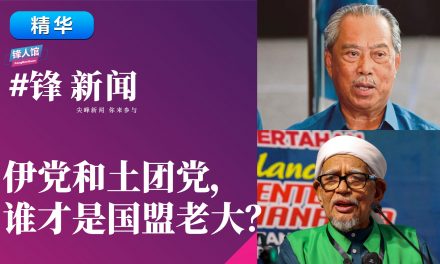 【#锋新闻精华】伊党和土团党，谁才是国盟老大？