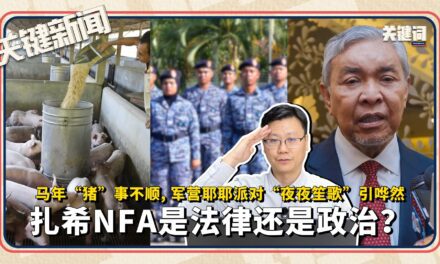 马年“猪”事不顺；军营“耶耶派对”夜夜笙歌引哗然；扎希NFA是法律还是政治？ | 本周关键新闻