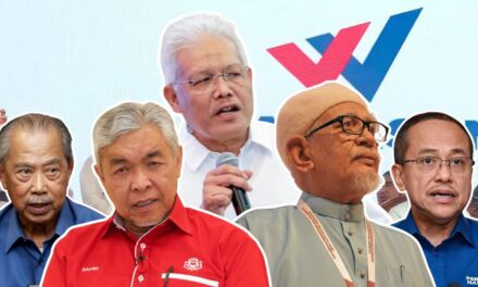 国家宏愿党横空出世！是土团党2.0，还是伊党的新政治附庸？