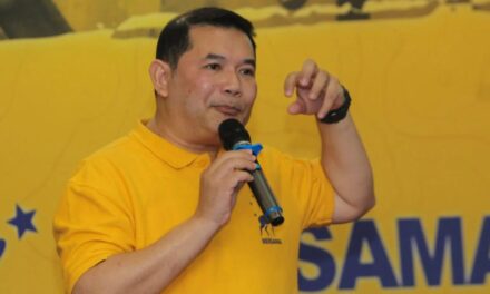 企业逻辑碰撞草根现实，同心党的“政治狂想”能走多远？