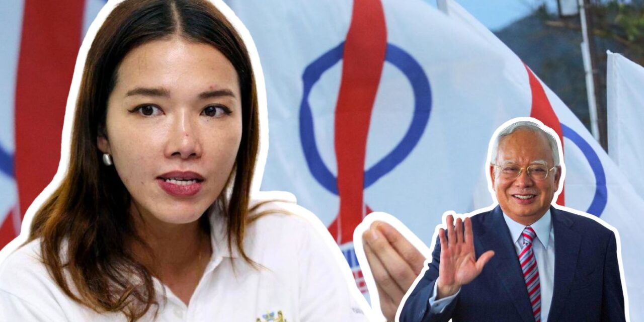 玛丽娜言论对行动党政治形象的冲击与选情评估