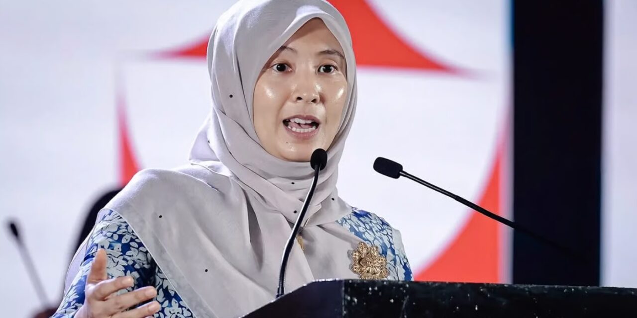 努鲁依莎的“一船两舵手”之喻：公正党的内耗危机与接班人困境