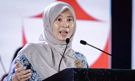 努鲁依莎的“一船两舵手”之喻：公正党的内耗危机与接班人困境