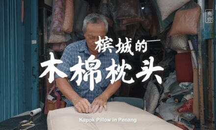 棉絮落满肩 温柔守护安枕无忧 | 槟城的木棉枕头 Kapok Pillow in Penang