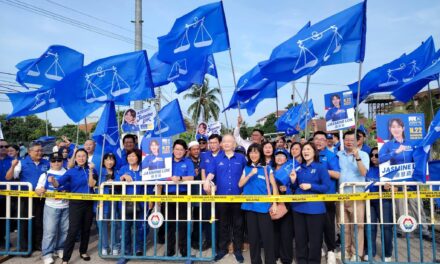 马华上阵议席翻倍！华裔政党历史宿命不变？