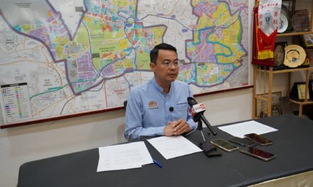 不愿再当“沉默木头”：李健聪裸辞国席引发的退党潮与选民真空