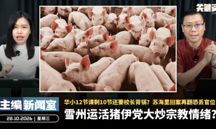 伊党炒作“雪州进口活猪”惹议！华小母语课时靠校长决定惹隐忧，苏海里11年“打人旧案”为何现在才翻？【主编新闻室 | 28.10.2026】